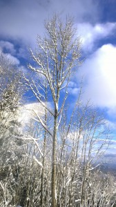 Landschaft