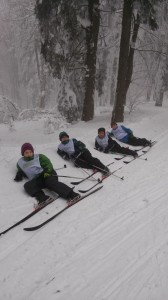 Langlausfskifahren 9.2.2015