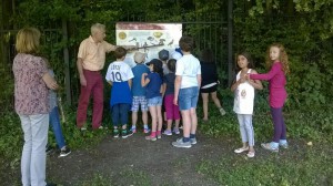 Sponeck